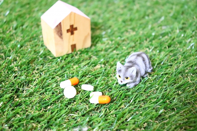 猫と病院のイメージ画像
