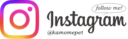 かもめ往診ペットクリニックインスタグラム